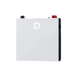 Dyness DL5.0C Pro Lithium Ion Battery 5.12KWH 51.2V 100Ah