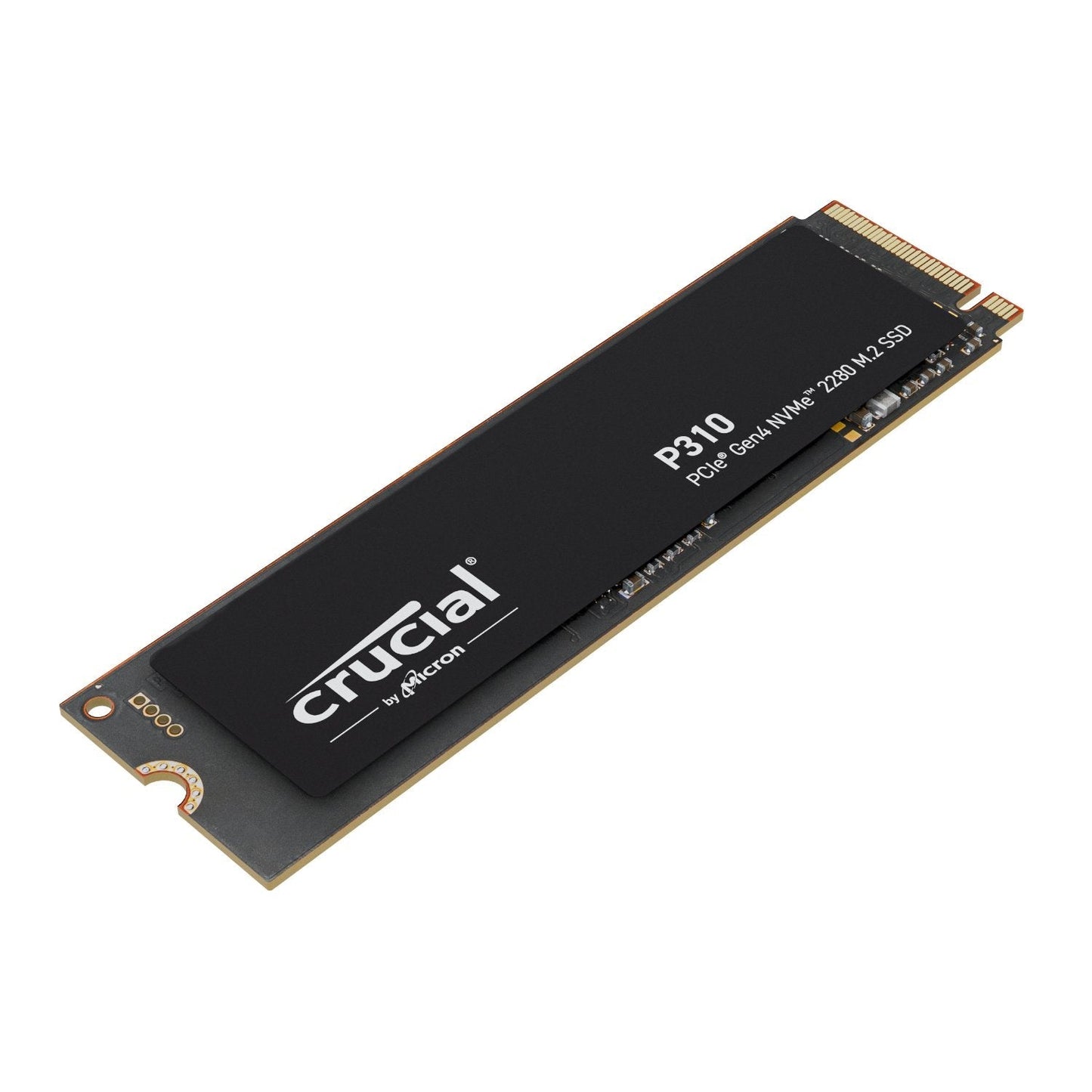PCBuilder Ryzen 5 7600 SPECIALIST Windows 11 Gaming PC
